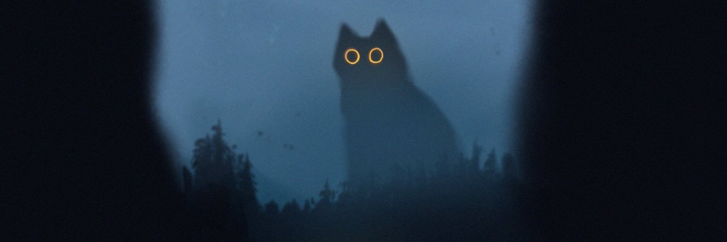 BrieRDoyle's profile banner image