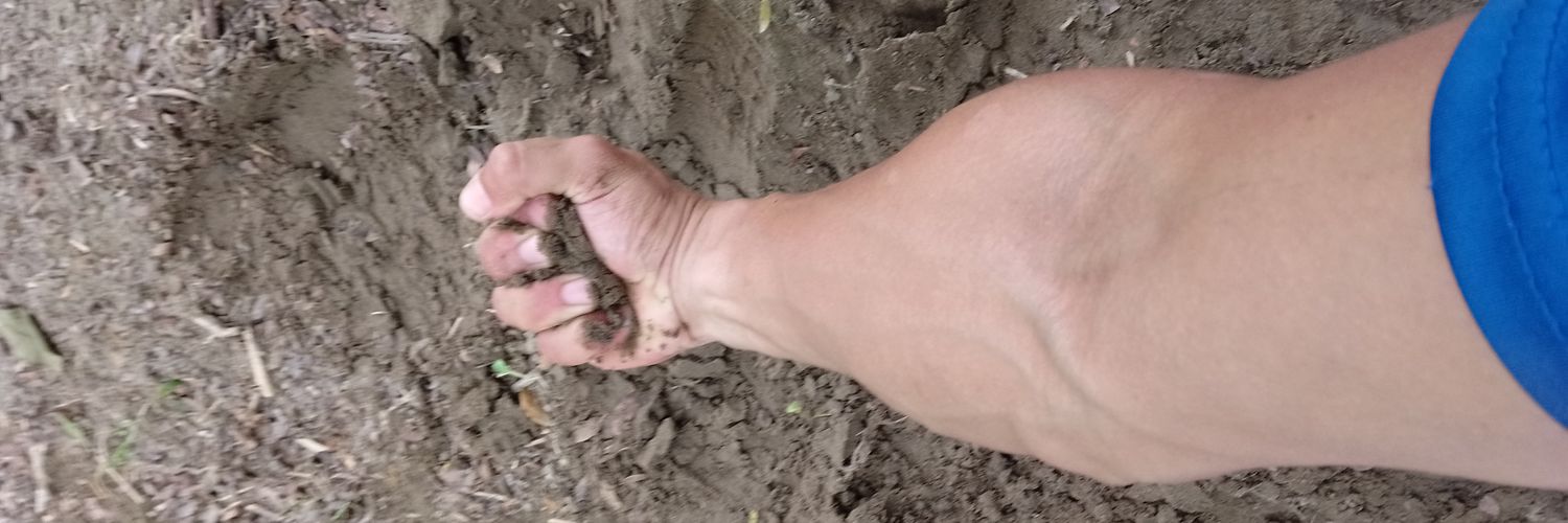 Jason 🇪🇨 banner