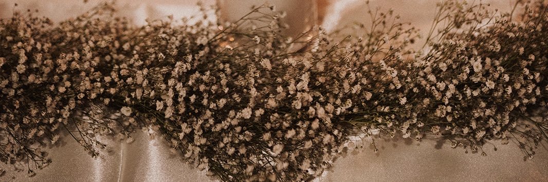 itsanna77's profile banner image