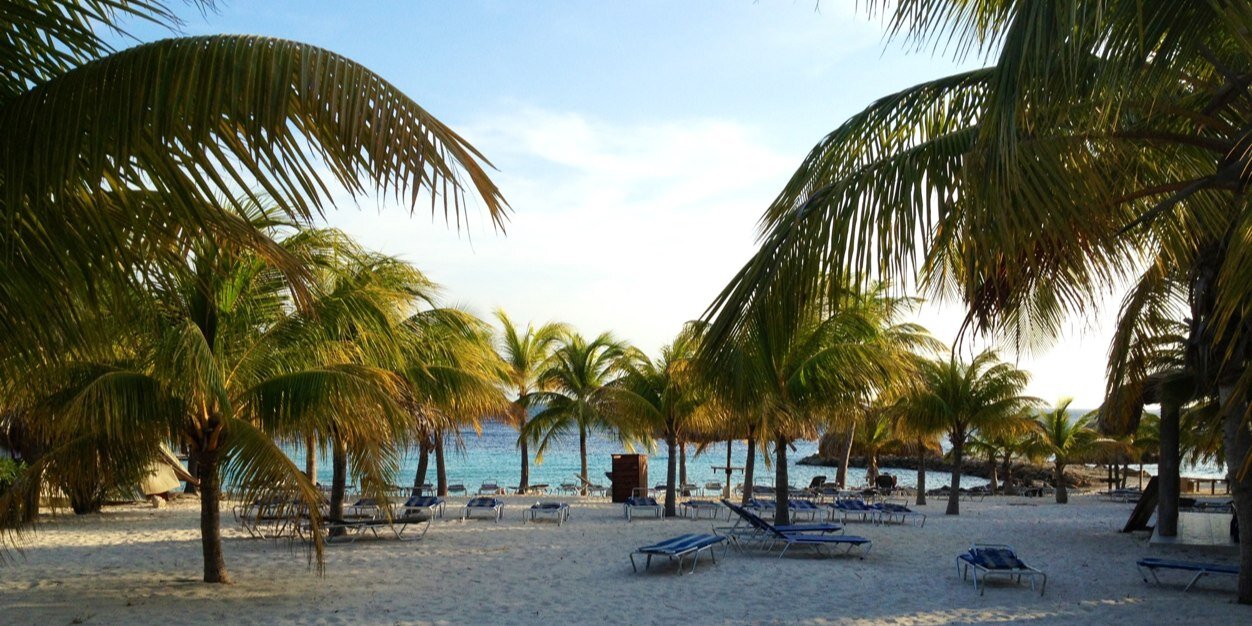 Patrick Murphy banner