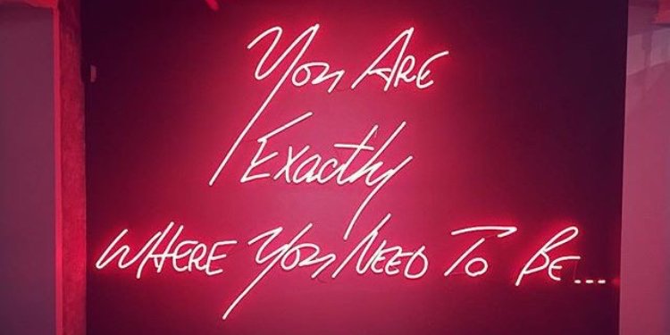 Candy_Noelle's profile banner image