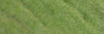 JoshHeath90's profile banner image