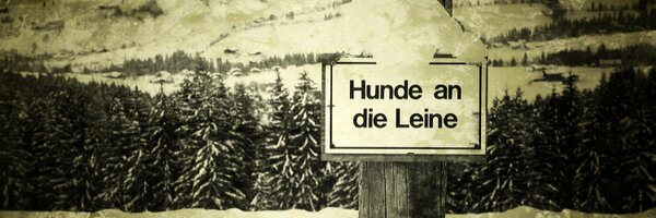 flyingkat Profile Banner