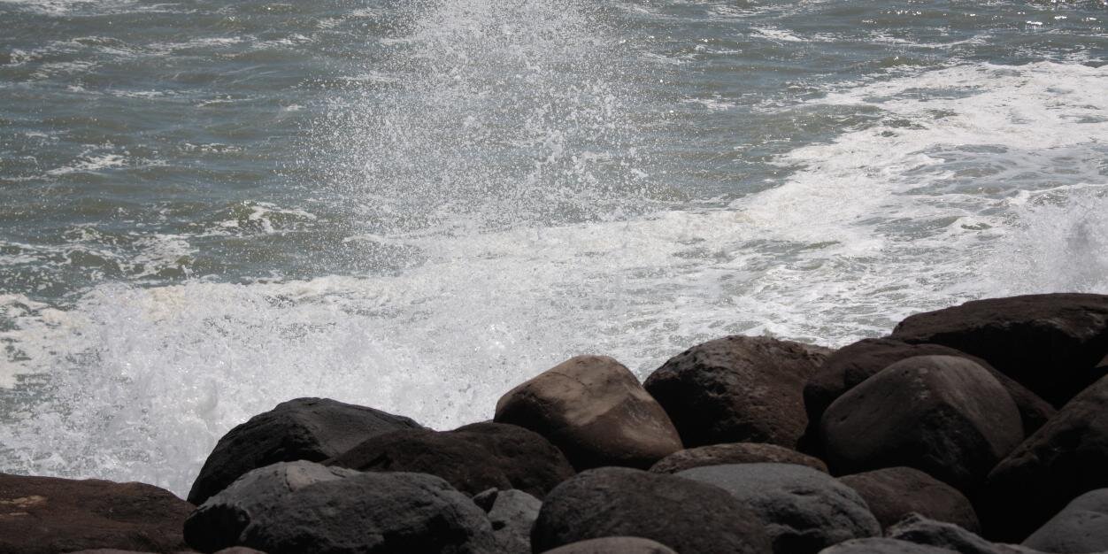 Taranakichic's profile banner image