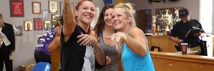 WMMA_UK's profile banner image