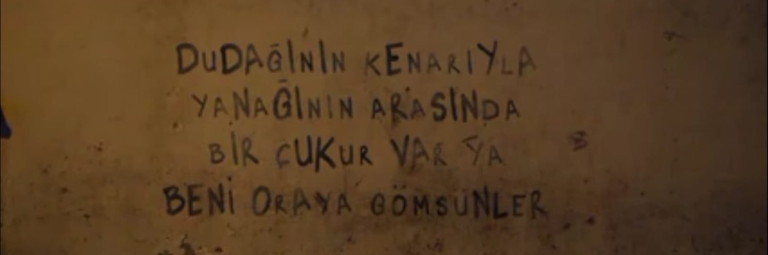 beyzaaercann's profile banner image