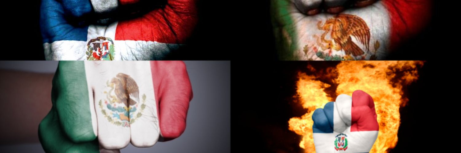 ElektromecanikoLDSE banner