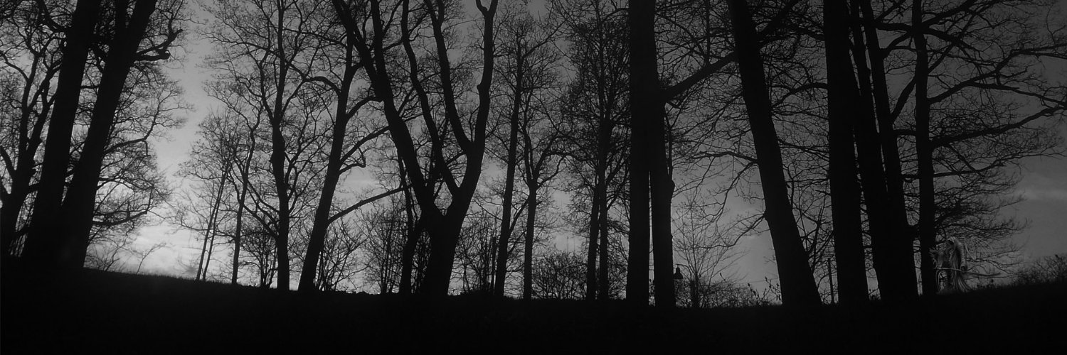 𝕾𝖆𝖗𝖆𝖕𝖙𝖔𝖗 banner