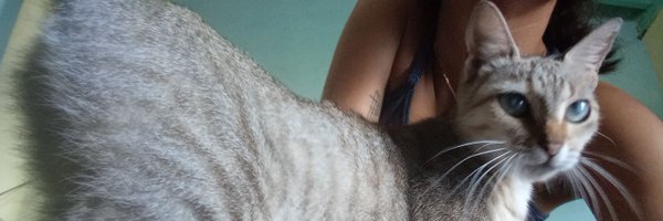 _justmaryfer Profile Banner