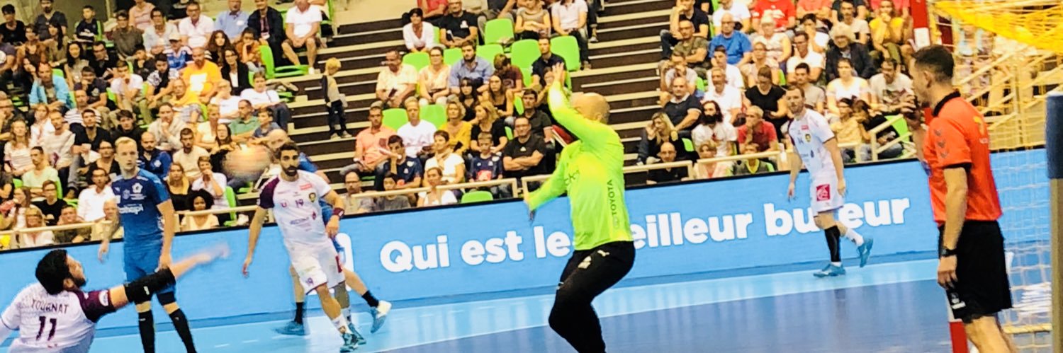 Steven Le Diagorn banner