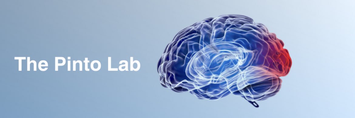 Shanti Pinto, MD, MSCS banner