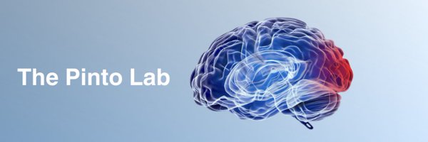 ThePintoLab Profile Banner
