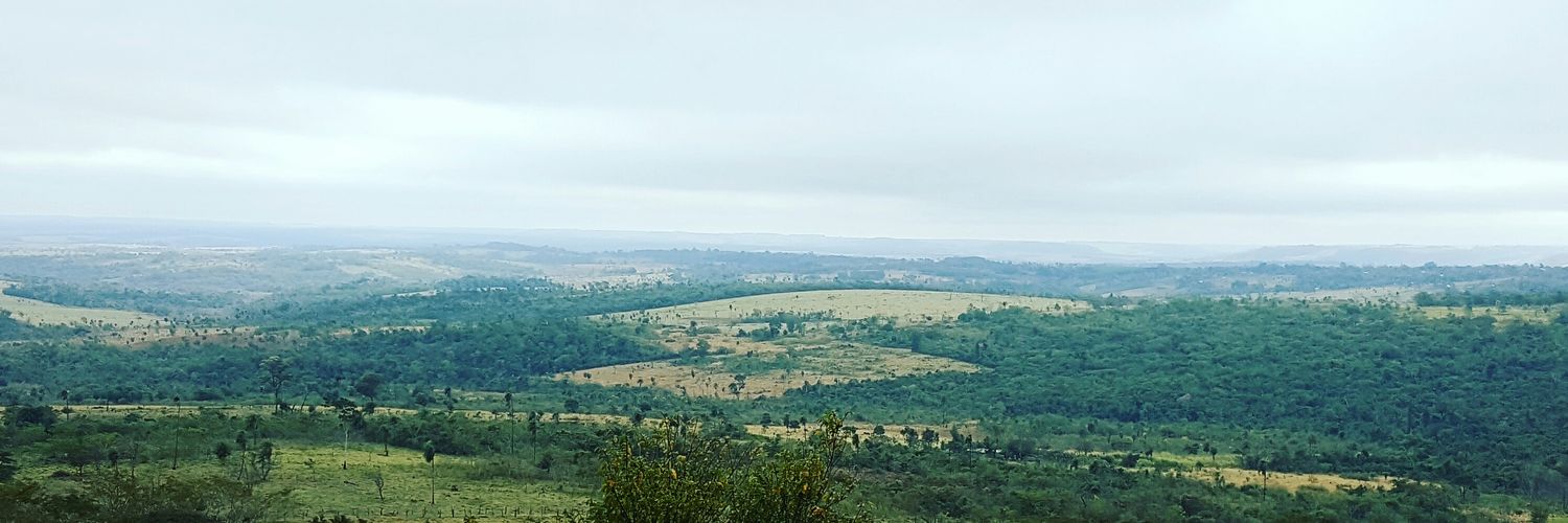 Alejandro Fernandez banner