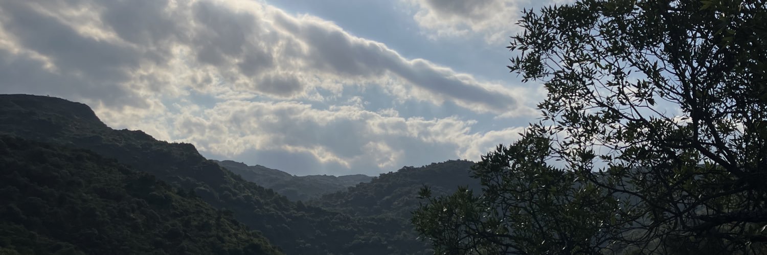 nicolasmsa_'s profile banner image