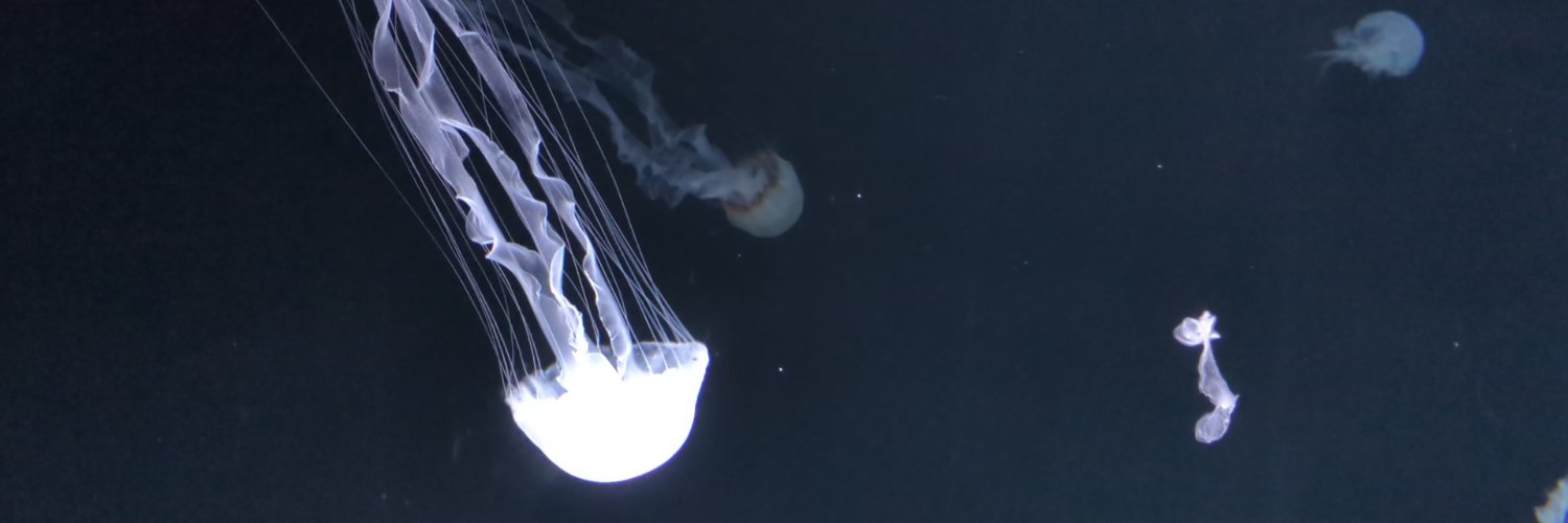 Koneflyer's profile banner image