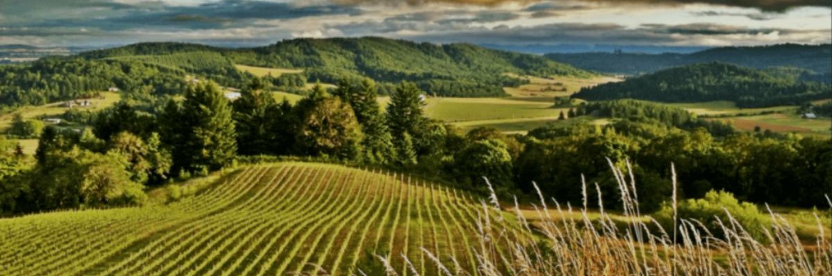 YoungbergHill's profile banner image