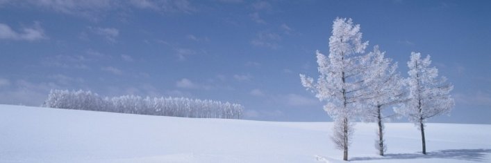 coujichu's profile banner image