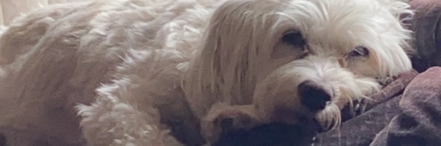Shauna_Kat's profile banner image