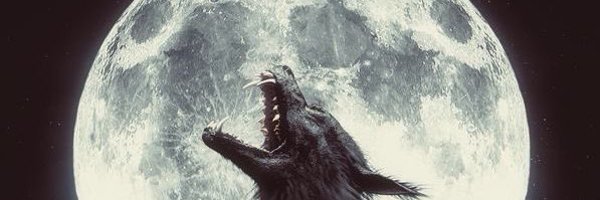 beommorii Profile Banner