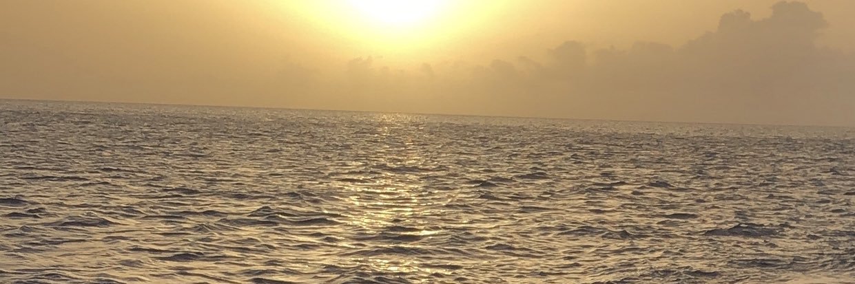 ProjectPomrinca's profile banner image