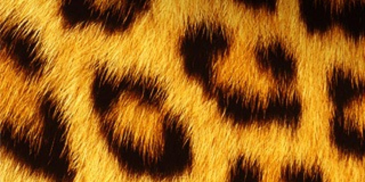 ambrad629's profile banner image