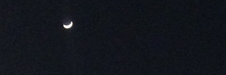bella🌹 banner