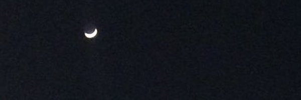 bella_dalacio Profile Banner