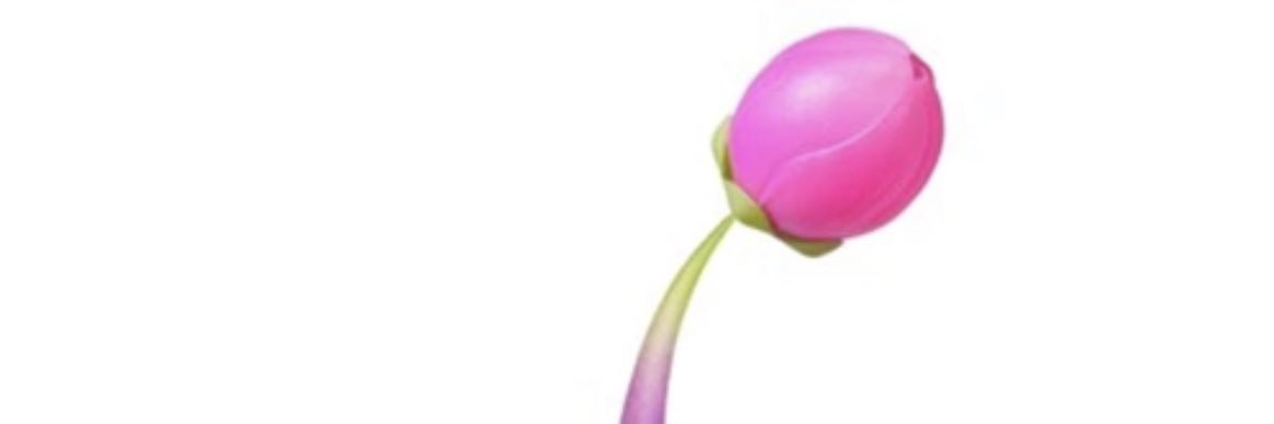 shiow40's profile banner image