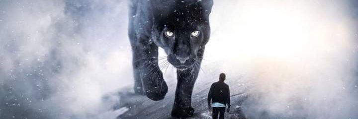jorgenet25's profile banner image