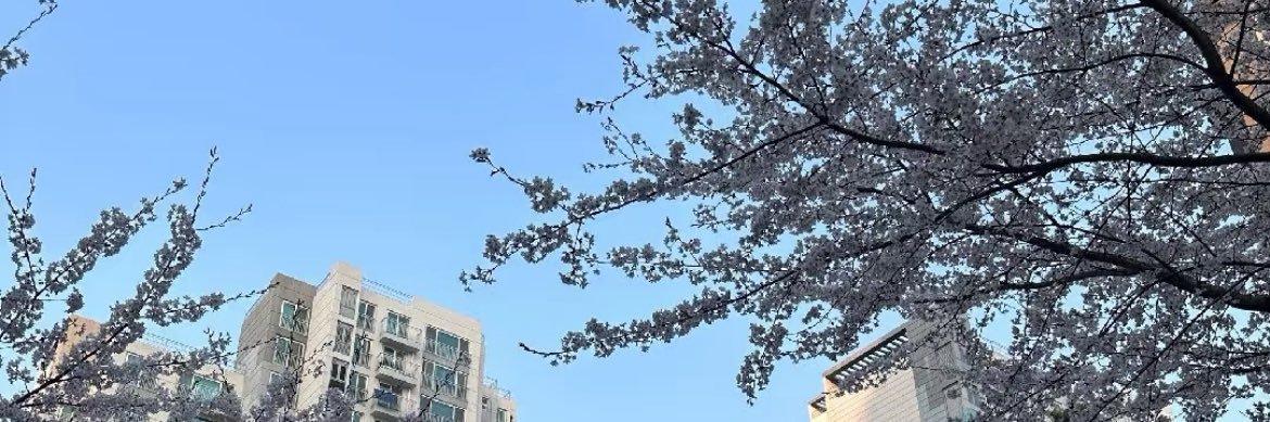 ZKKKQ99's profile banner image