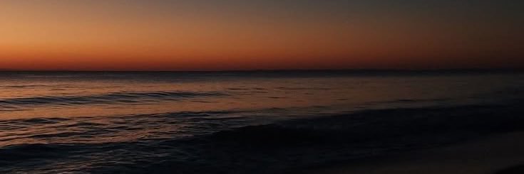 tombraider@hotmil banner