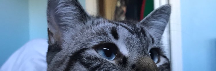 TPeaKK's profile banner image
