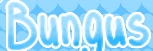 BungusHero's profile banner image