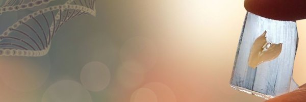 ErinDunnScD Profile Banner