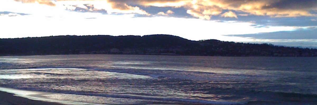 Sunnydrop's profile banner image