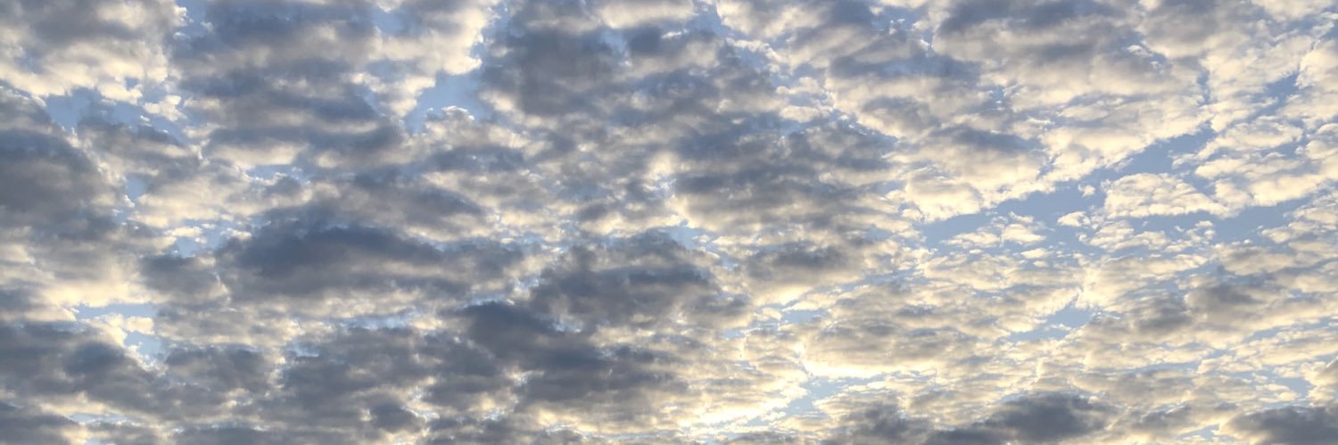 SelenaLanacece's profile banner image