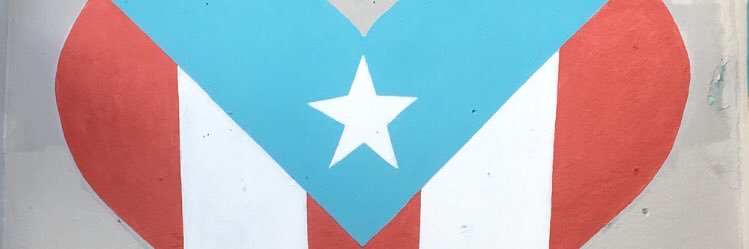 LanelaMiranda's profile banner image