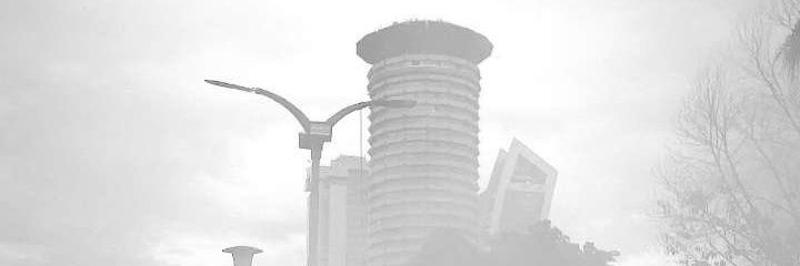 Mjukuu ya Lebo's banner