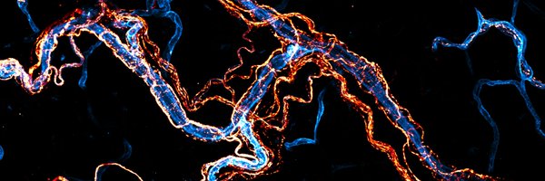 OSUGeneTherapy Profile Banner