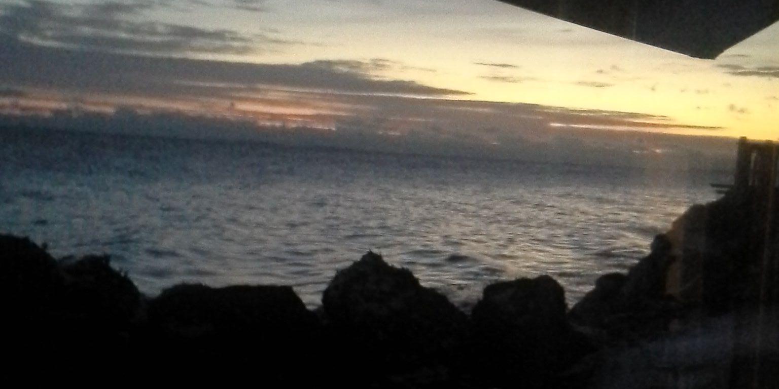 Jessica Molyet banner