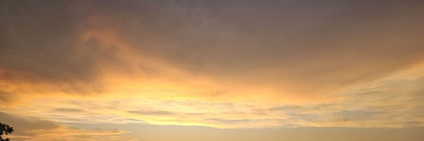 TKO1131 Profile Banner