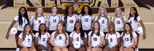 ROLadyHawksVB Profile Banner