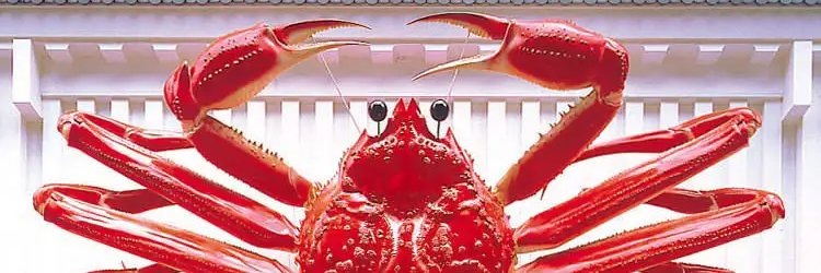 Rabka banner