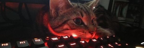 Sc0rpiusY Profile Banner