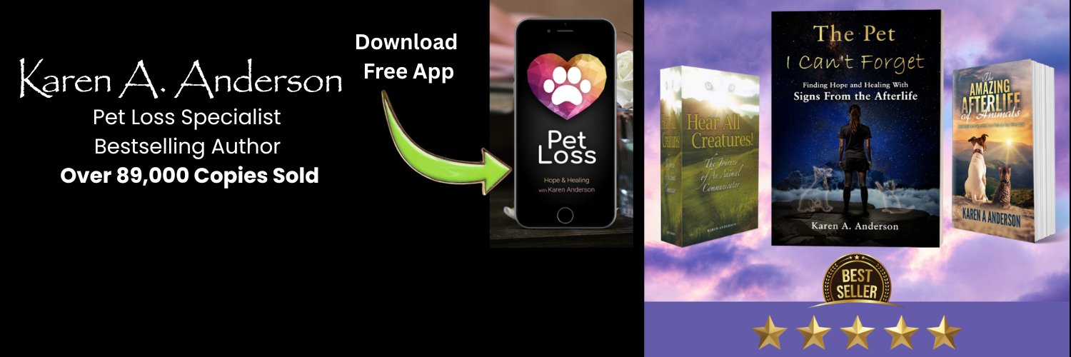 TalksToPets's profile banner image