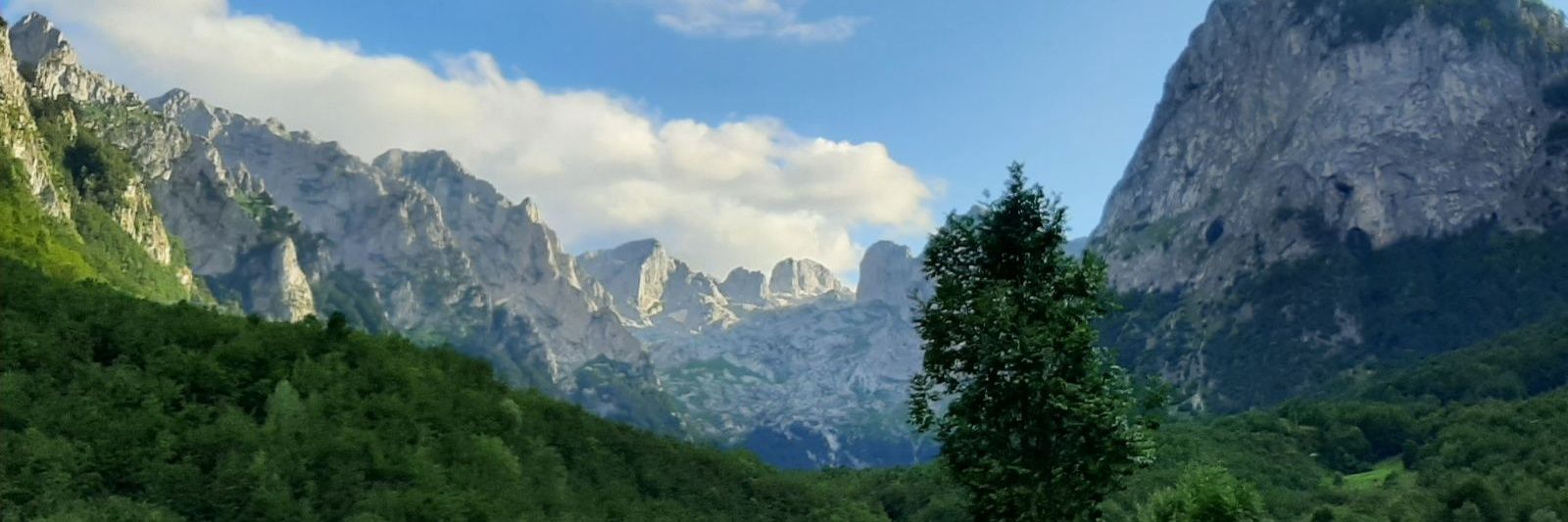 Uran Ferizi banner