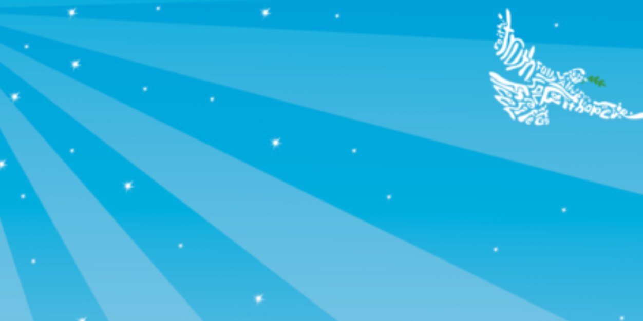 Katie Killip banner