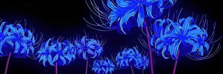 Tracey Stanley banner