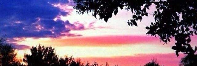 🇺🇸TradGirlPatriot🇺🇸 banner