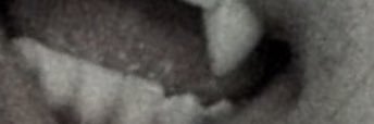 H0lypress's profile banner image